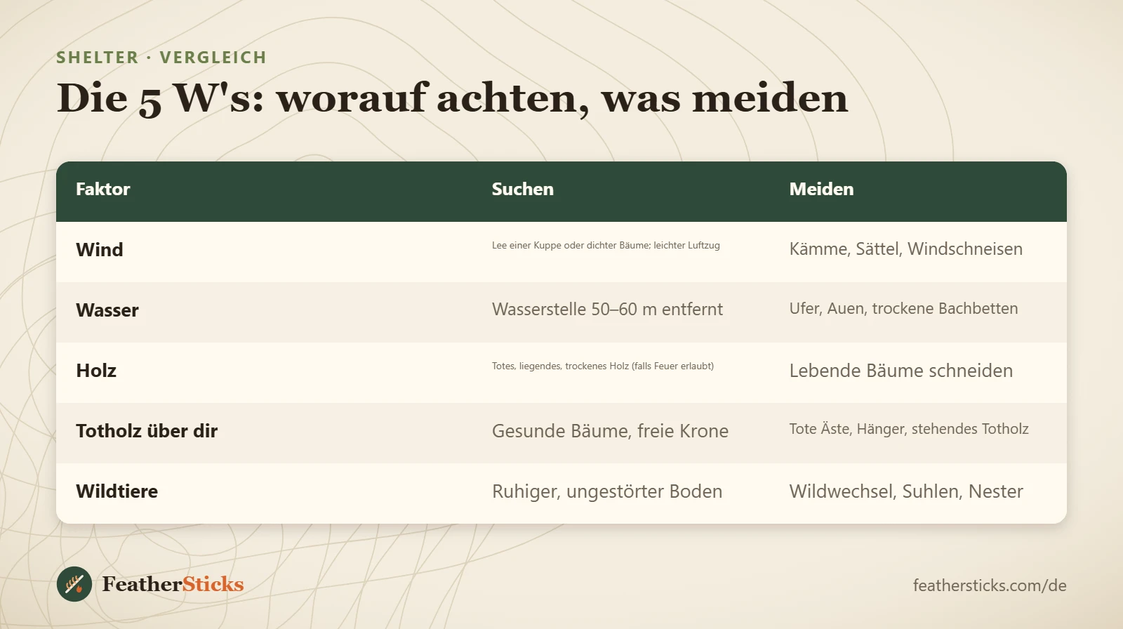 Die 5 W's: worauf achten, was meiden