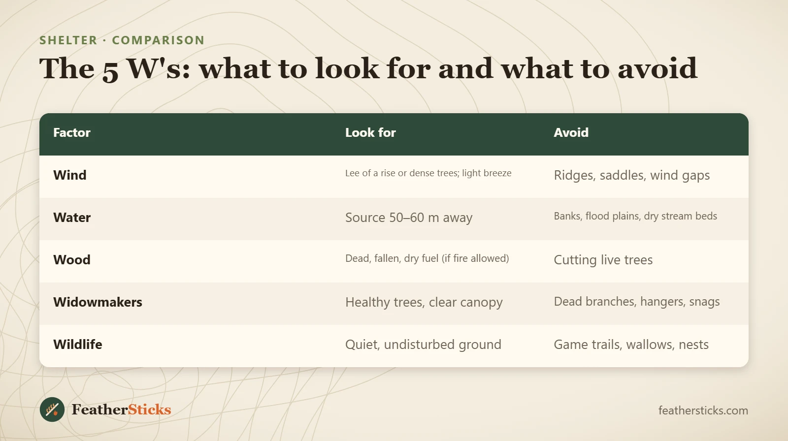 The 5 W's: what to look for and what to avoid