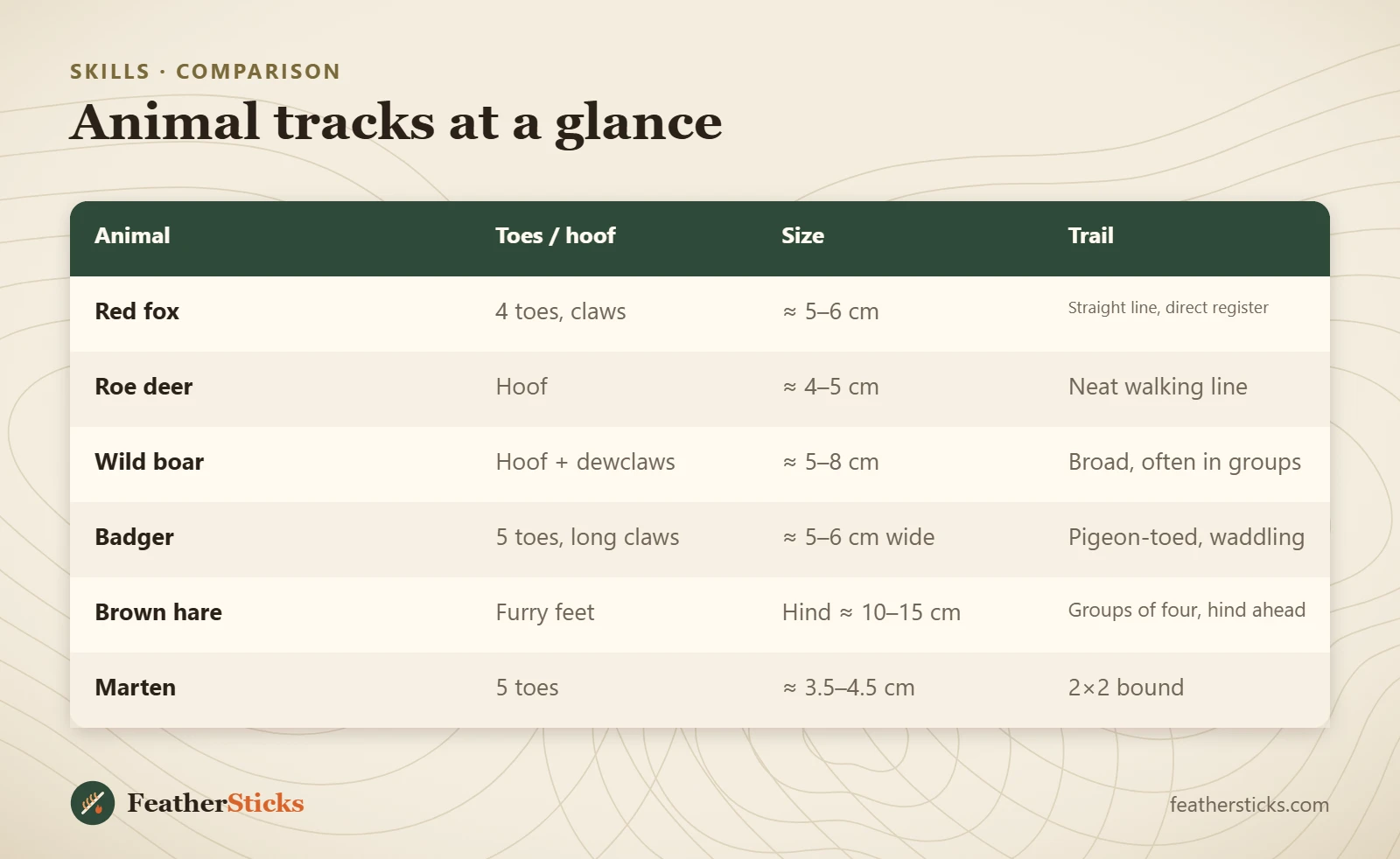 Animal tracks at a glance